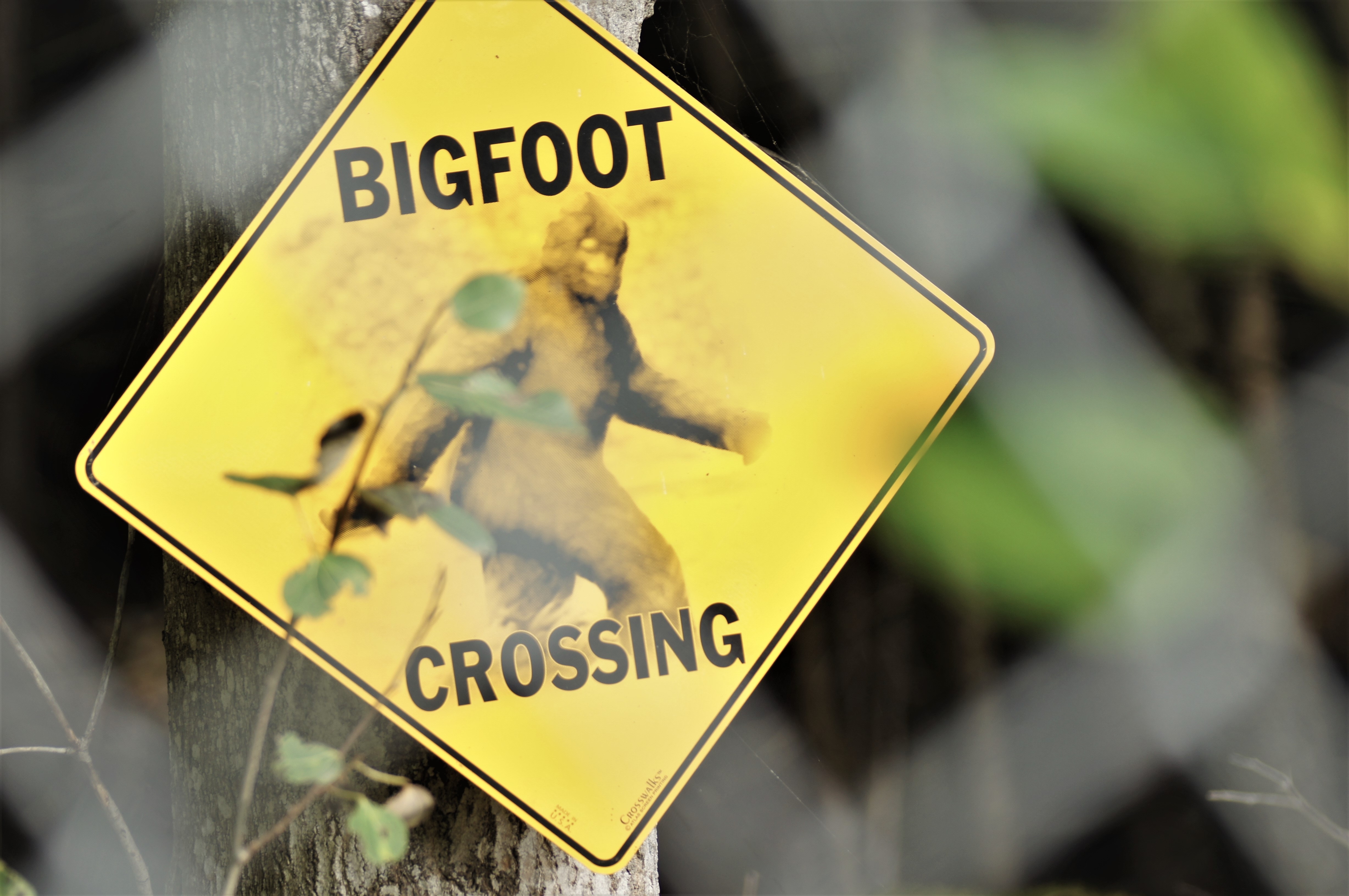 Bigfoot Crossing Sign